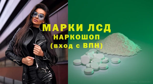 ПСИЛОЦИБИНОВЫЕ ГРИБЫ Гусь-Хрустальный
