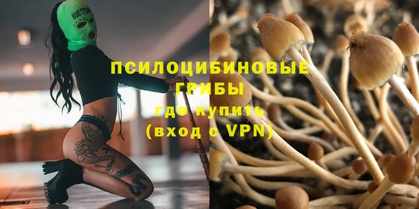 сатива Абаза